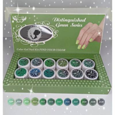 COLOR GEL NAIL KIT